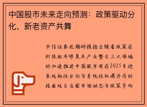 中国股市未来走向预测：政策驱动分化，新老资产共舞