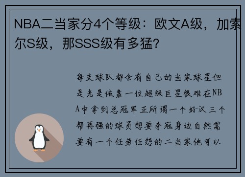 NBA二当家分4个等级：欧文A级，加索尔S级，那SSS级有多猛？